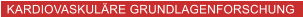 KARDIOVASKULÄRE GRUNDLAGENFORSCHUNG